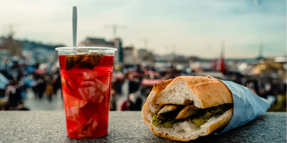 Blogbeitrag: Istanbul Reiseführer mit dem Auto: Routen und Verkehrstipps