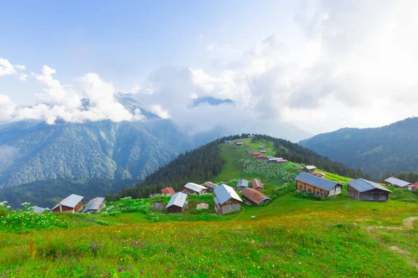 Pokut Highland Sea of Clouds and Wooden Houses