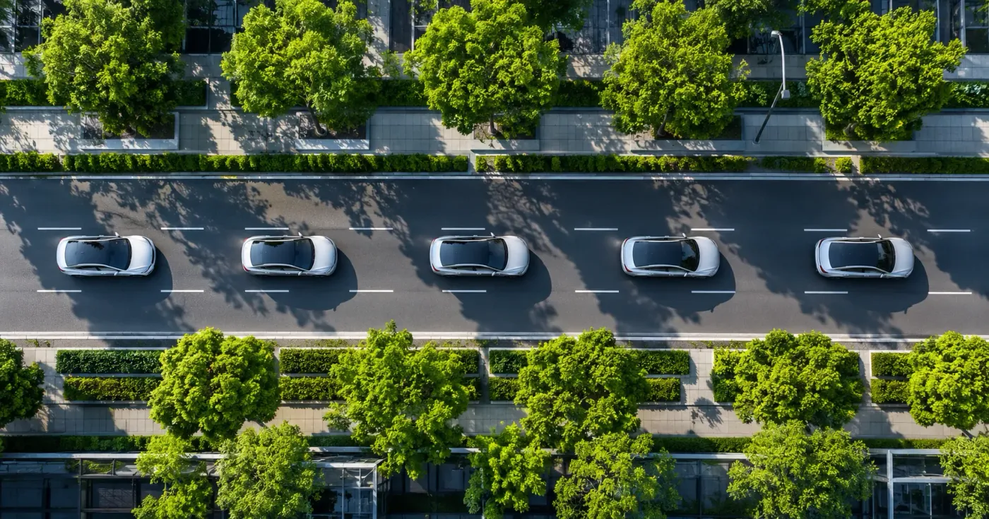 Grüne Flotte auf baumgesäumter Stadtstraße