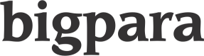BigPara logosu