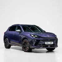 Cupra Terramar araç detay görseli